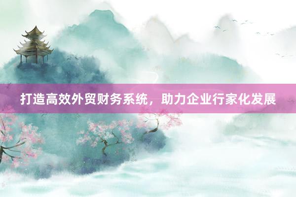 打造高效外贸财务系统，助力企业行家化发展