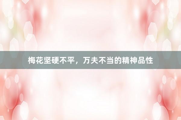 梅花坚硬不平，万夫不当的精神品性