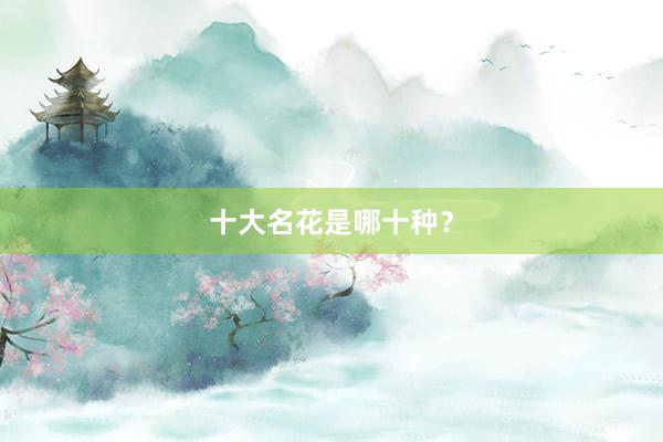 十大名花是哪十种？