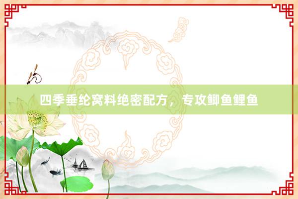 四季垂纶窝料绝密配方，专攻鲫鱼鲤鱼